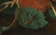 Jan van Huijsum Blumen und Fruchte oil on canvas